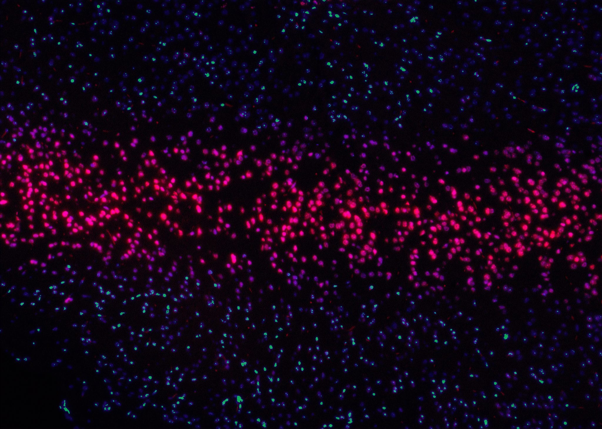 Gradient in Med-Tech News, June 23rd 2022